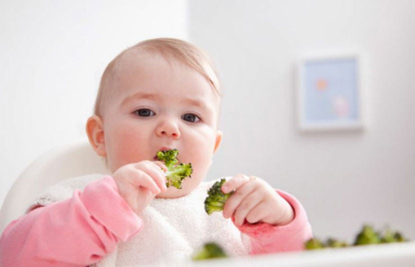 Bebés vegetarianos: ¿cómo empezar?