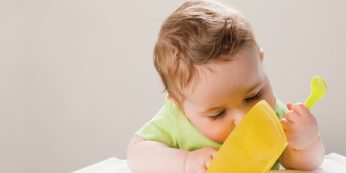 Leche y sólidos de la mano