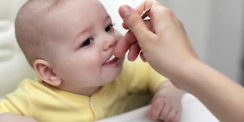 Menús a partir del año de edad