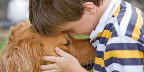 El mejor perro para una familia