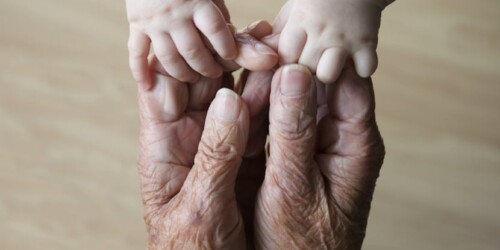 ¿Qué es un abuelo?