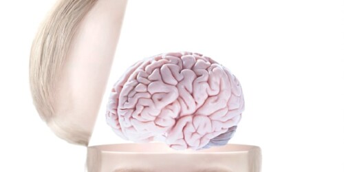 10 cosas que no sabías de su cerebro