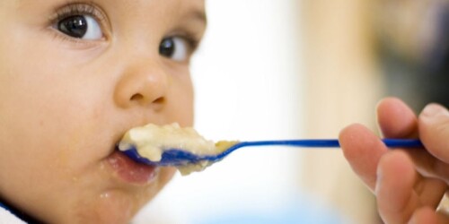 Qué alimentos deben llevar las papillas