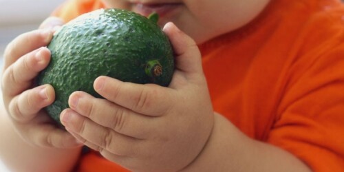 Nopal, aguacate y otros alimentos para tu bebé