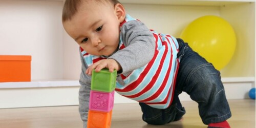 Neurociencia, neuroeducación y los efectos en un niño