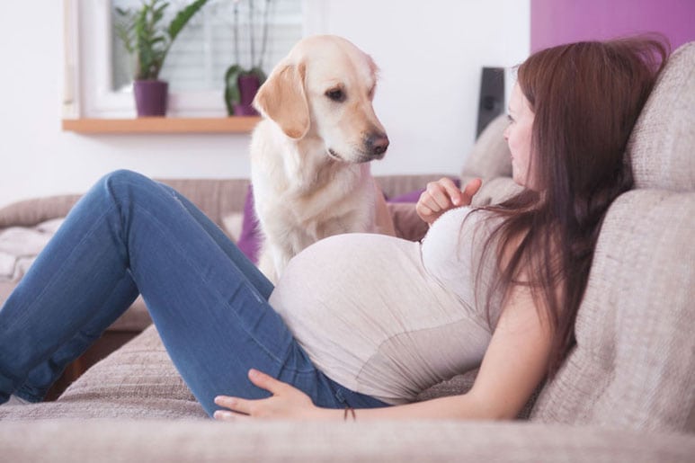 Las mascotas en el embarazo