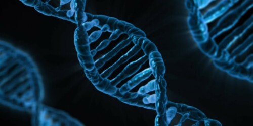 Avance científico aseguraría que los bebés no padezcan las mismas enfermedades de sus padres