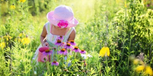 Tips para disfrutar todo el verano