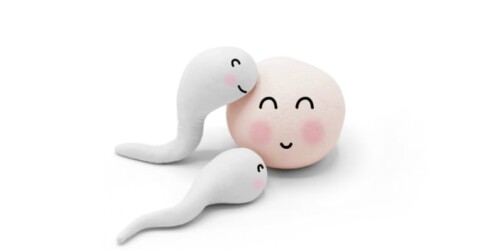 6 mitos que NO debes creer sobre la infertilidad