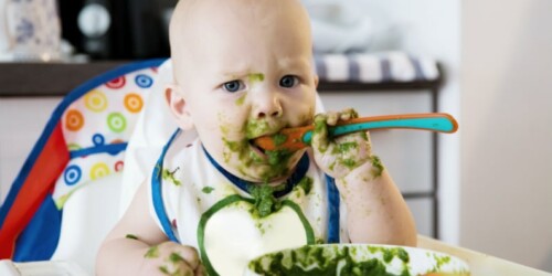 TEST: ¿Qué tanto sabes sobre comida para bebés?