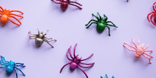 ¿Cómo curar piquetes en tus hijos? Y hasta mordidas de perro