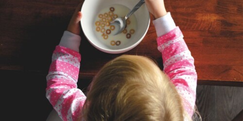 ¿Qué tipo de leche vegetal darle a tus hijos?