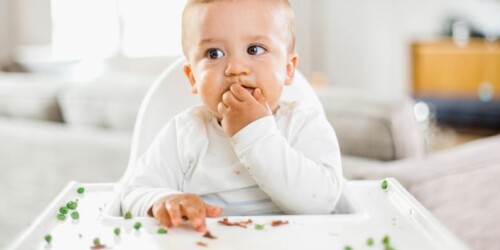 Asegura su futuro durante sus primeros 1000 días de vida