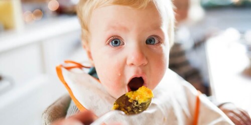 Grasas sanas que debes darle a tus hijos