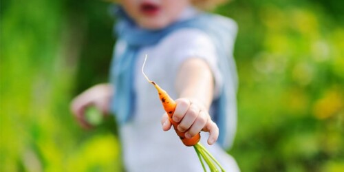 ¿Por qué no darle de comer alimentos procesados a tus hijos?