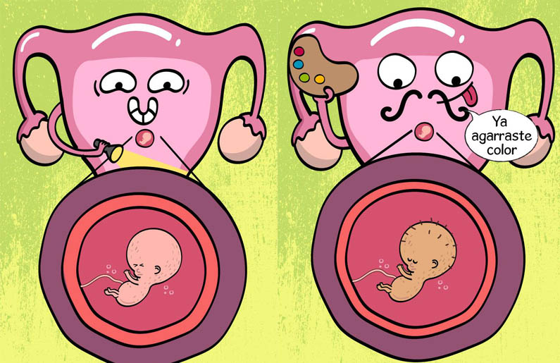 Galería: Cambios semanales en el útero durante el embarazo