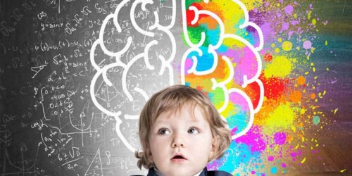 Las pantallas transforman el cerebro de los niños, ¡confirmado!