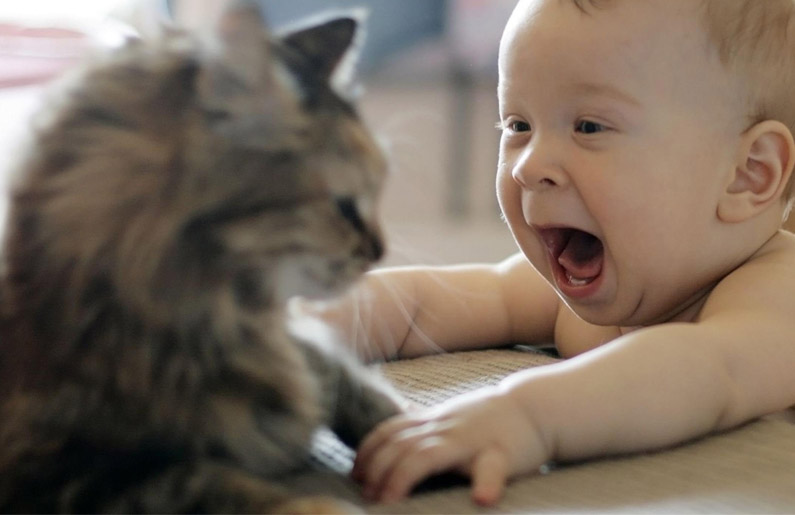 Tener mascotas desde bebés puede evitar alergias