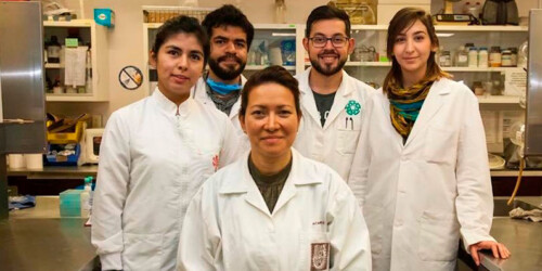 Científicos mexicanos crean cura para el virus del Papiloma Humano