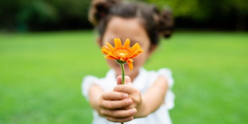 ¿Cómo educar con valores a tus hijos?