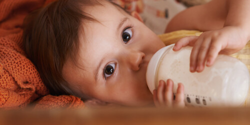 Todo sobre la alergia a la proteína de leche de vaca
