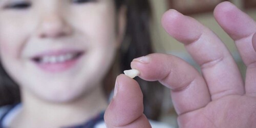 Guardar los dientes de leche de tu bebé puede servir para salvarle la vida