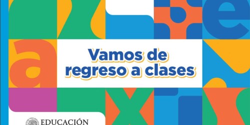 Dónde descargar los cuadernos de trabajo de primaria «Vamos de regreso a clases»