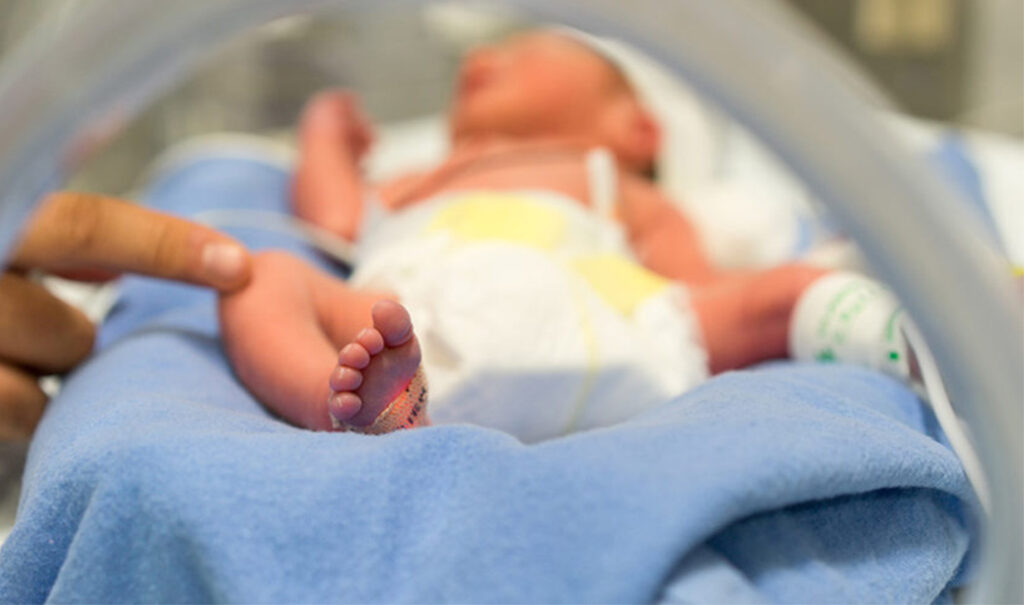 Crean placenta artificial para salvar a bebés prematuros