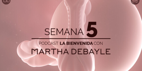 La bienvenida: semana 5 del embarazo