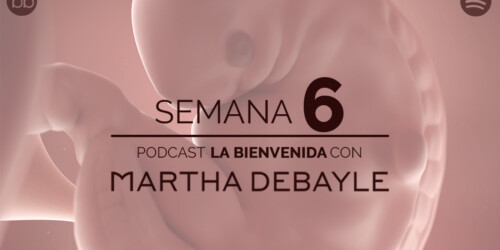 La bienvenida: semana 6 del embarazo