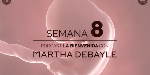 La bienvenida: semana 8 del embarazo
