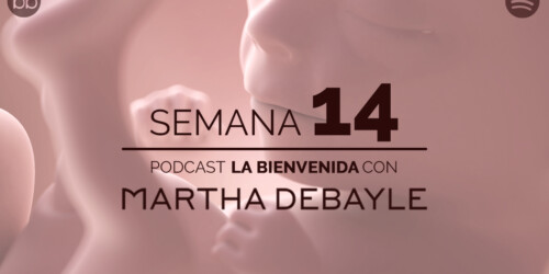 La bienvenida: semana 14 del embarazo