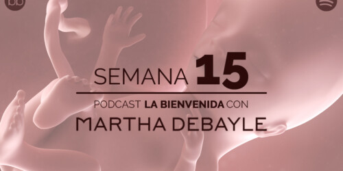 La bienvenida: semana 15 del embarazo