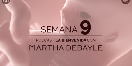La bienvenida: semana 9 del embarazo
