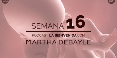 La bienvenida: semana 16 del embarazo