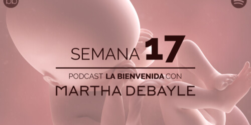 La bienvenida: semana 17 del embarazo