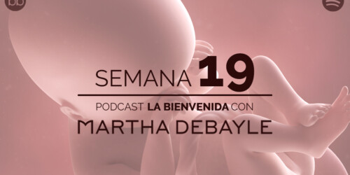 La bienvenida: semana 19 del embarazo