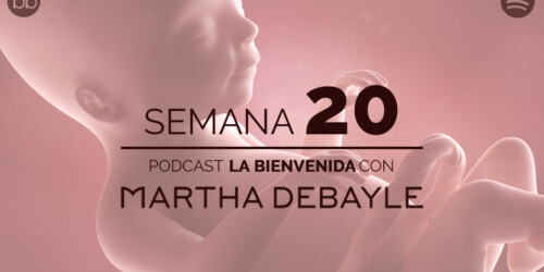 La bienvenida: semana 20 del embarazo