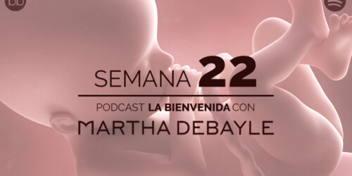La bienvenida: semana 22 del embarazo