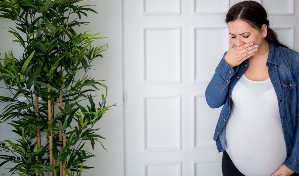 3 razones por las que el olfato de las embarazadas cambia