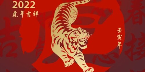 ¿Cómo son los bebés Tigre según el Horóscopo Chino?