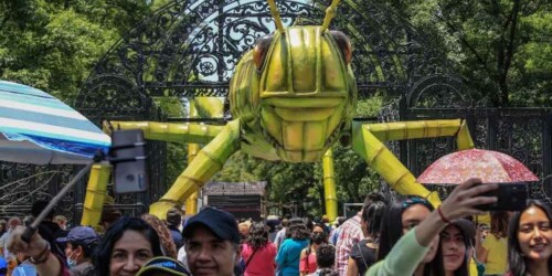 Insecta: el festival de insectos en el Bosque de Chapultepec se queda hasta julio 2022