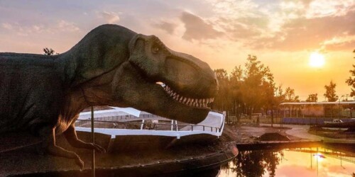 5 Lugares para ver dinosaurios en la CDMX