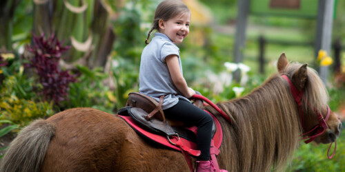 4 parques para montar a caballo en la CDMX