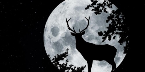 Dónde y cuándo ver la SUPERLUNA: la luna más grande y brillante del 2022