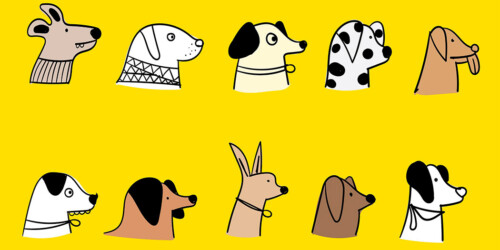 ¿Qué considerar antes de adoptar a un perro?
