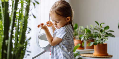 3 tips para enseñarle a tus hijos a cuidar el medio ambiente