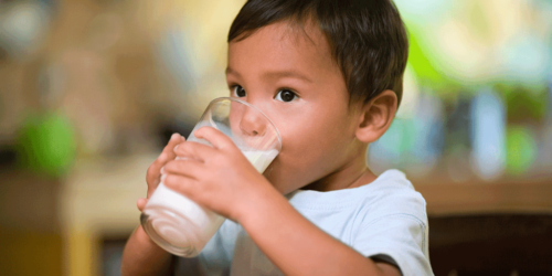Cómo beneficia a tu hijo la leche de cabra