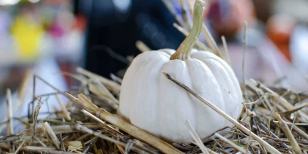 Qué significa poner una calabaza blanca en Halloween