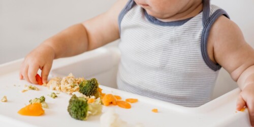 Beneficios del brócoli para tu bebé, ¿ya lo probó?